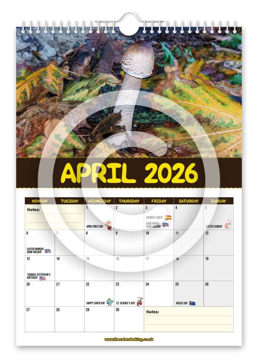 World's Greatest Mushrooms Novelty Calendar - Image 5