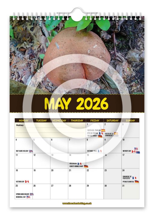 World's Greatest Mushrooms Novelty Calendar - Image 6