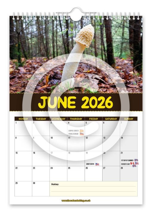 World's Greatest Mushrooms Novelty Calendar - Image 7