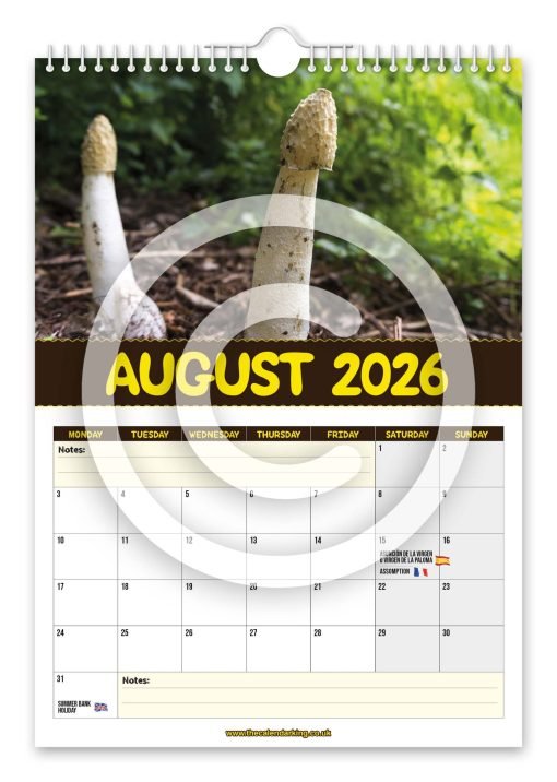 World's Greatest Mushrooms Novelty Calendar - Image 9
