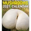 World's Greatest Mushrooms Novelty Calendar