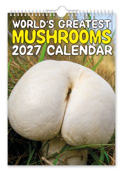World's Greatest Mushrooms Novelty Calendar