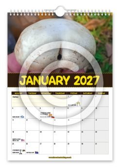Alternative view of World's Greatest Mushrooms Novelty Calendar