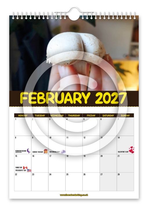 World's Greatest Mushrooms Novelty Calendar - Image 3