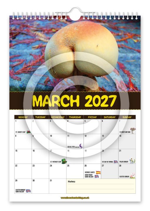 World's Greatest Mushrooms Novelty Calendar - Image 4