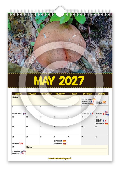 World's Greatest Mushrooms Novelty Calendar - Image 6