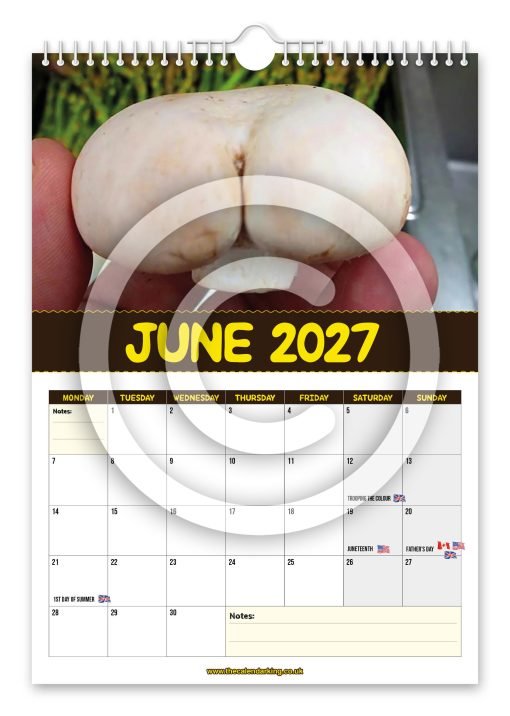 World's Greatest Mushrooms Novelty Calendar - Image 7