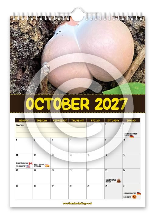 World's Greatest Mushrooms Novelty Calendar - Image 11