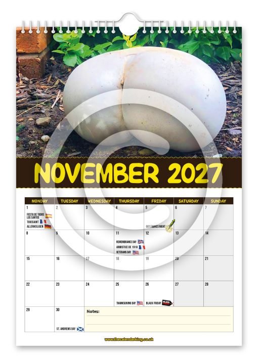 World's Greatest Mushrooms Novelty Calendar - Image 12