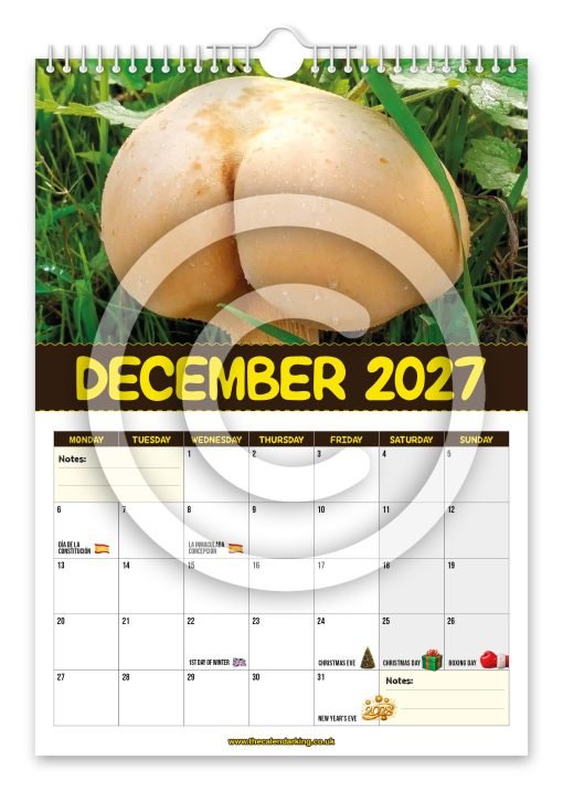 World's Greatest Mushrooms Novelty Calendar - Image 13
