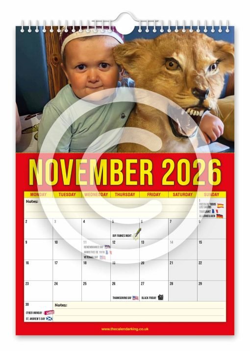 Hasbulla Novelty Calendar - Image 12