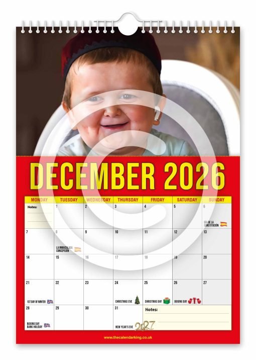 Hasbulla Novelty Calendar - Image 13