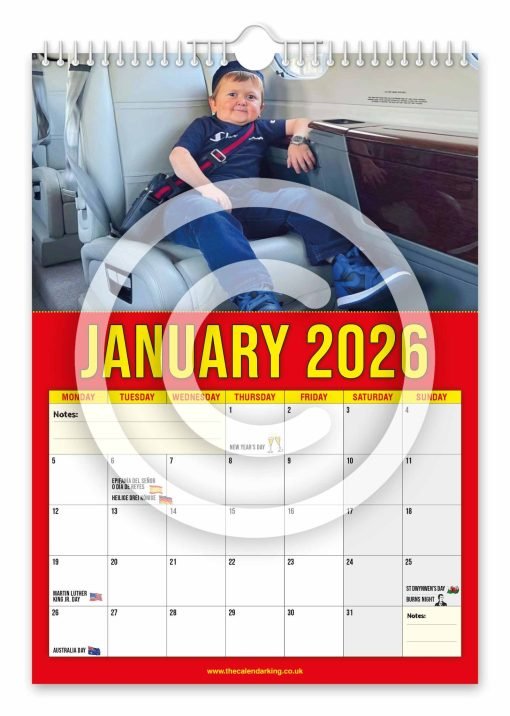 Hasbulla Novelty Calendar - Image 2