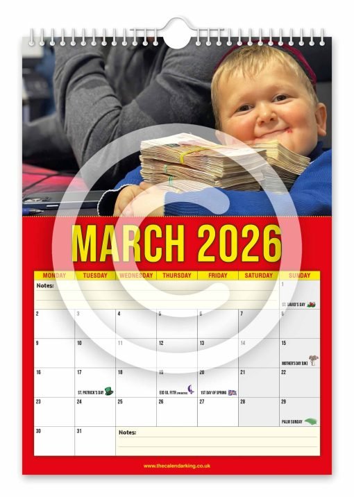 Hasbulla Novelty Calendar - Image 4