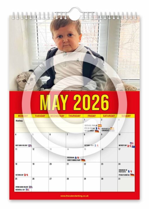 Hasbulla Novelty Calendar - Image 6