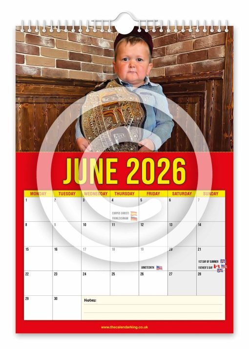 Hasbulla Novelty Calendar - Image 7