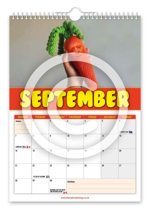Jasper Carrot Novelty Calendar - Image 10