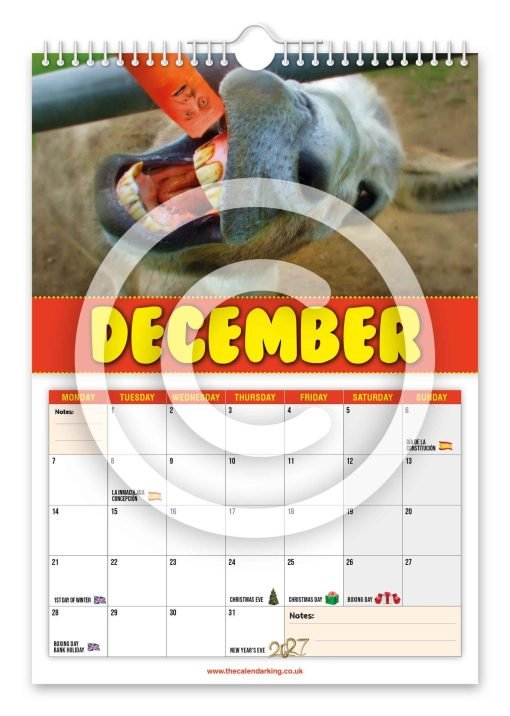 Jasper Carrot Novelty Calendar - Image 13