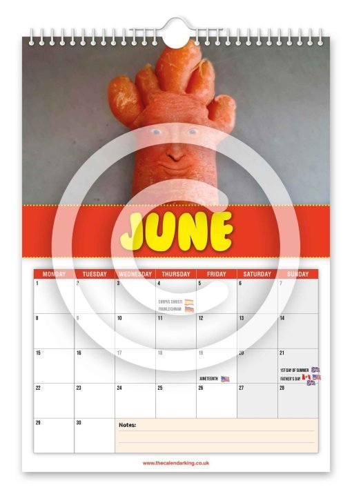 Jasper Carrot Novelty Calendar - Image 7