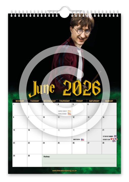 Harry Trotter Novelty Calendar - Image 7