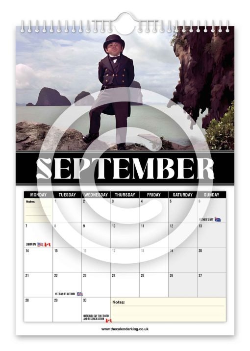 Nic Nac Novelty Calendar - Image 10