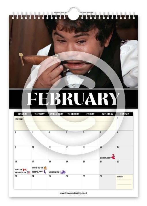 Nic Nac Novelty Calendar - Image 3