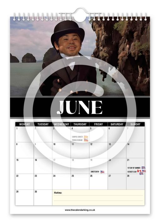 Nic Nac Novelty Calendar - Image 7