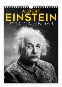 Albert Einstein Novelty Calendar