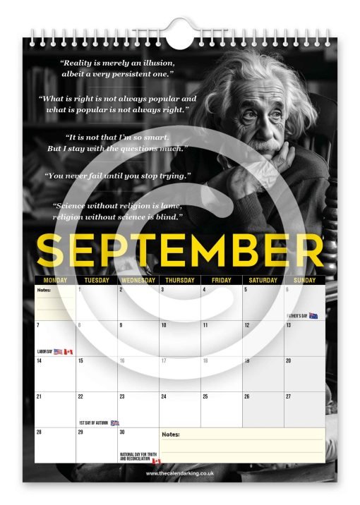 Albert Einstein Novelty Calendar - Image 10