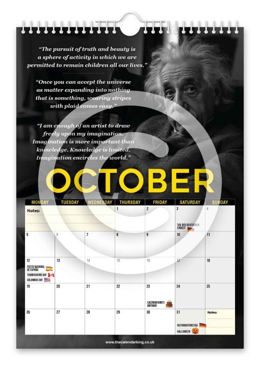 Albert Einstein Novelty Calendar - Image 11