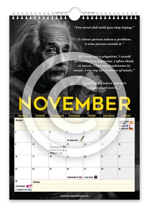 Albert Einstein Novelty Calendar - Image 12