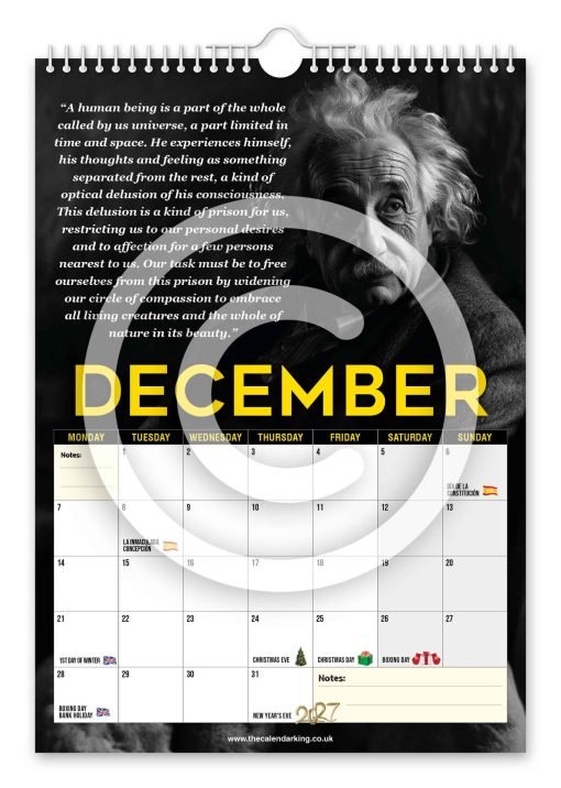 Albert Einstein Novelty Calendar - Image 13