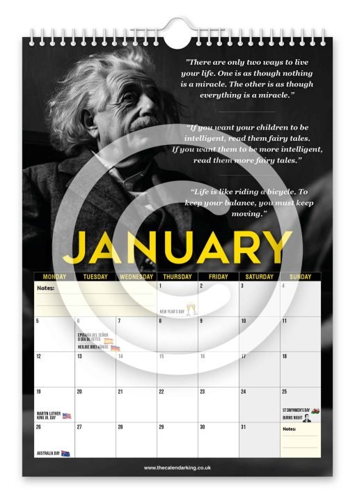 Albert Einstein Novelty Calendar - Image 2