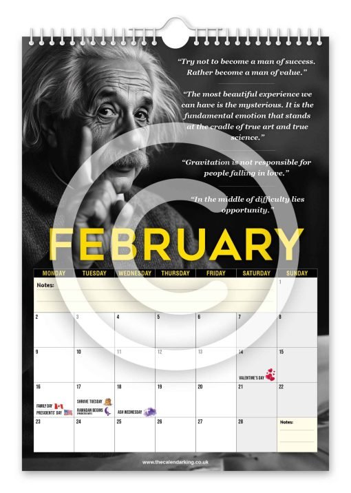 Albert Einstein Novelty Calendar - Image 3