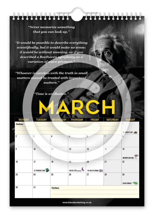 Albert Einstein Novelty Calendar - Image 4