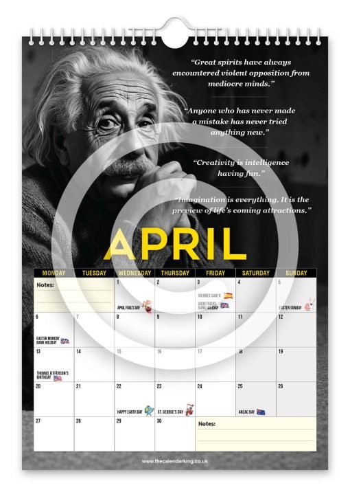 Albert Einstein Novelty Calendar - Image 5