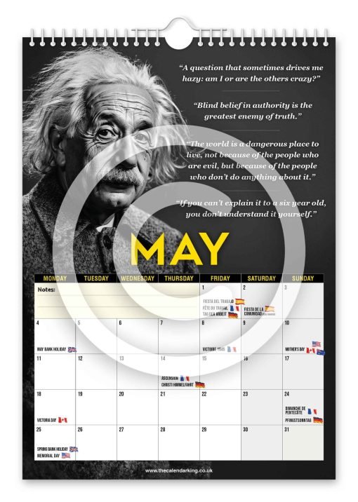 Albert Einstein Novelty Calendar - Image 6