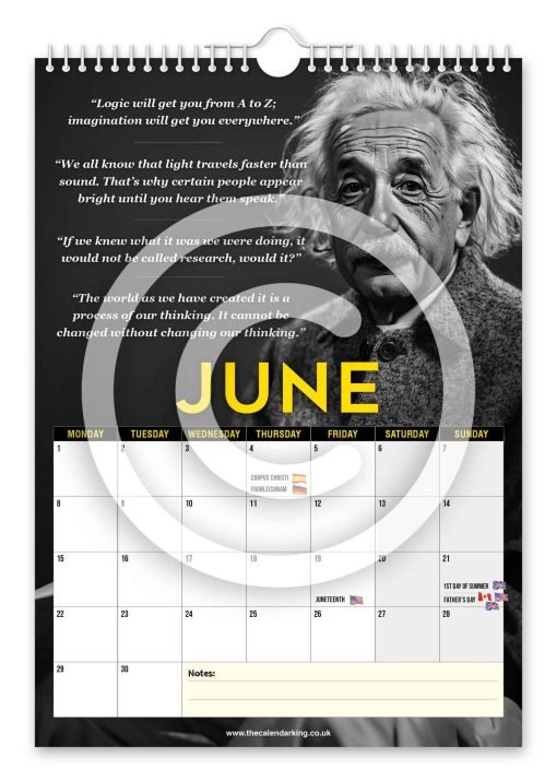Albert Einstein Novelty Calendar - Image 7