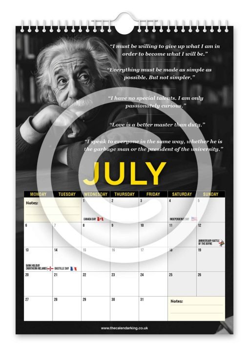 Albert Einstein Novelty Calendar - Image 8