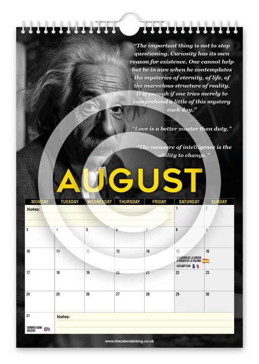 Albert Einstein Novelty Calendar - Image 9
