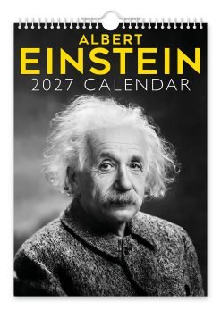 Albert Einstein Novelty Calendar