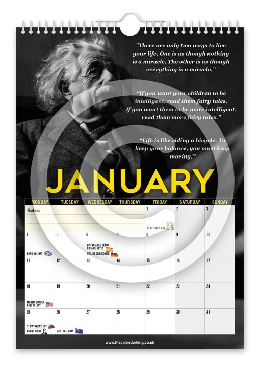 Albert Einstein Novelty Calendar - Image 2