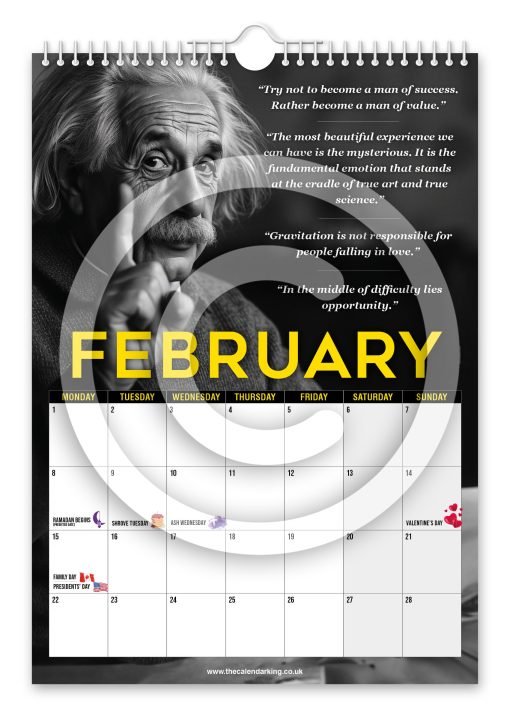 Albert Einstein Novelty Calendar - Image 3