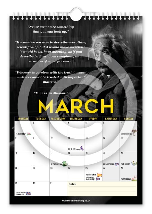 Albert Einstein Novelty Calendar - Image 4