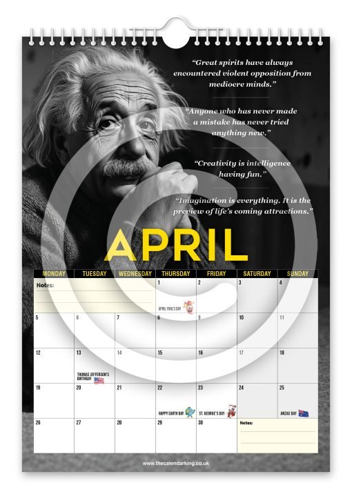 Albert Einstein Novelty Calendar - Image 5