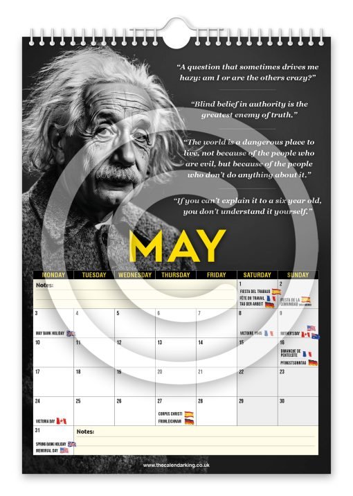 Albert Einstein Novelty Calendar - Image 6