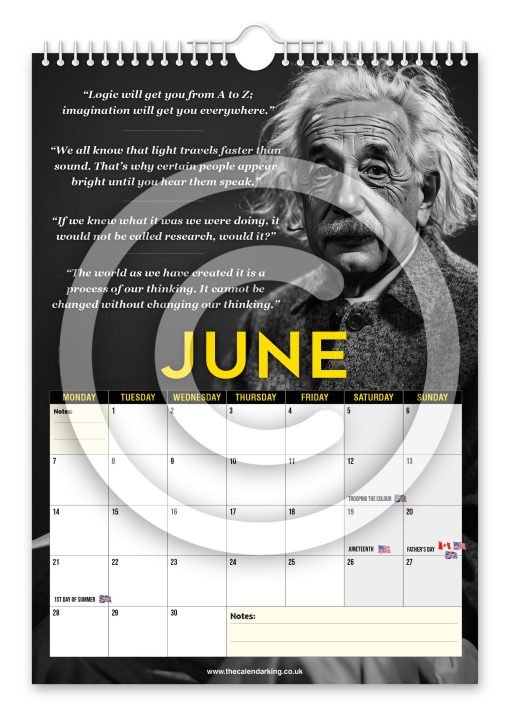 Albert Einstein Novelty Calendar - Image 7