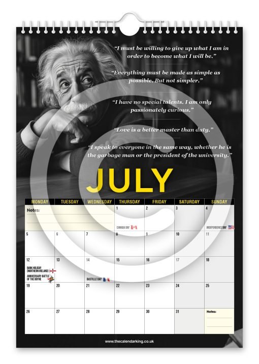 Albert Einstein Novelty Calendar - Image 8