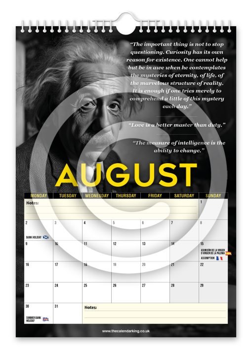Albert Einstein Novelty Calendar - Image 9