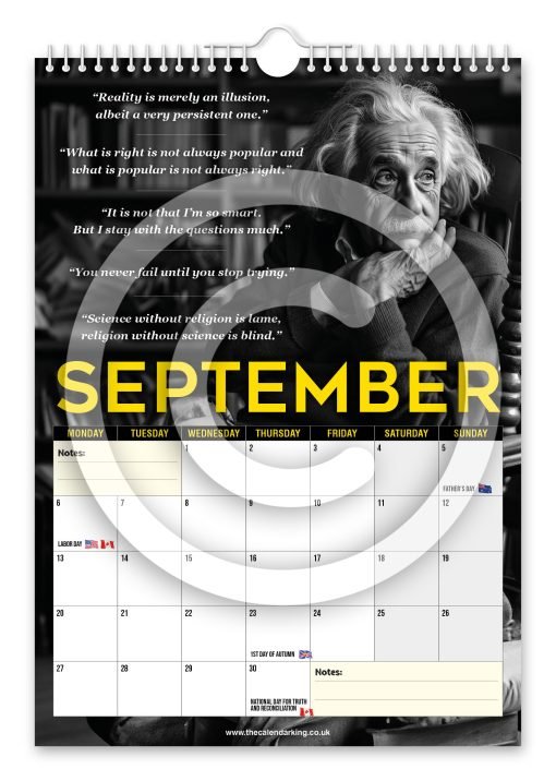 Albert Einstein Novelty Calendar - Image 10